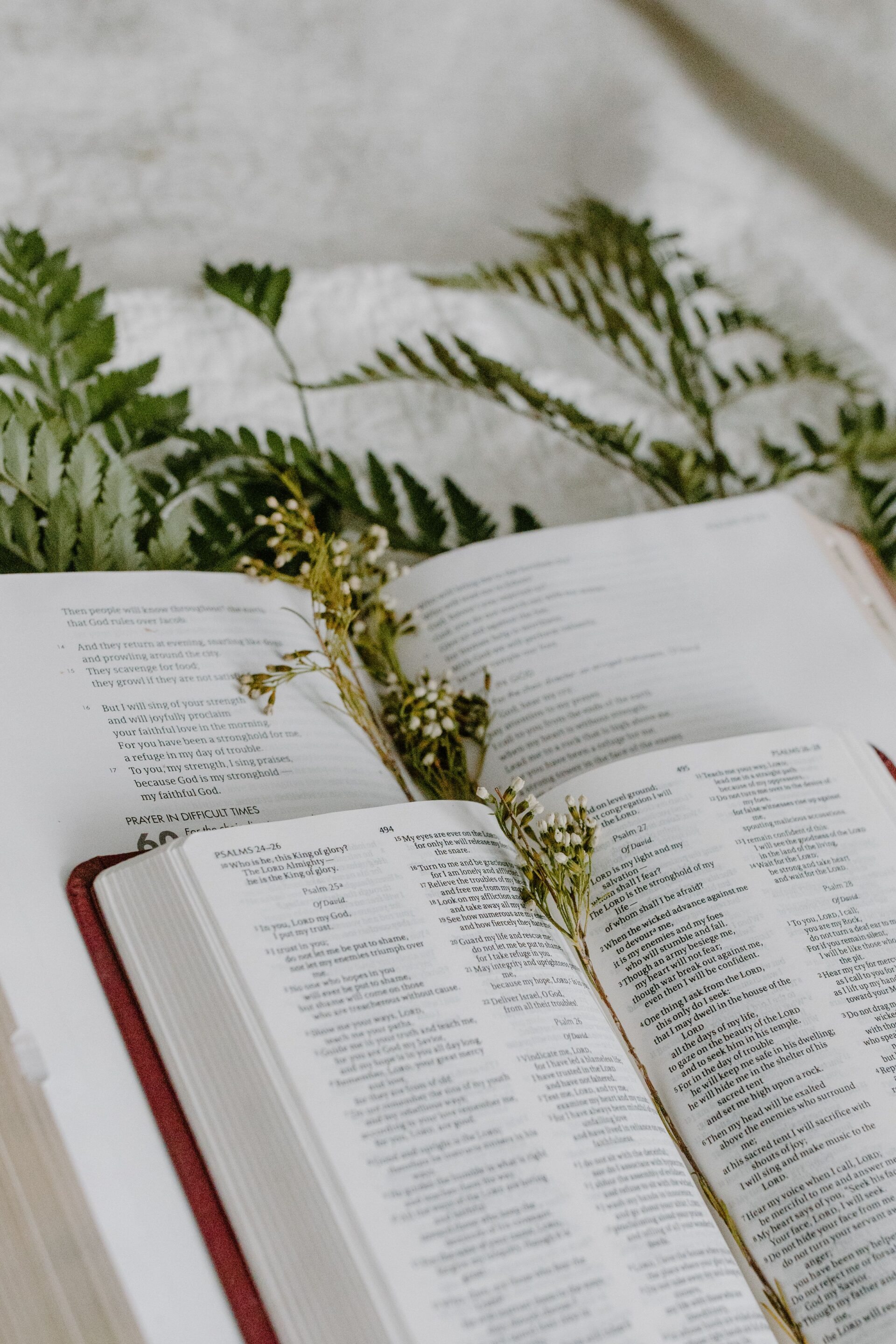 Open Bible pages adorned with dried flowers and fern leaves, creating a peaceful spiritual scene reflecting our parker co methodist worship schedules